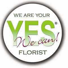 Yes We Can!