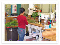 Bice's Florist Storefront