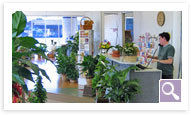 Bice's Florist Storefront