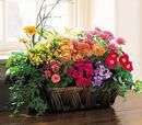 Custom Garden Baskets