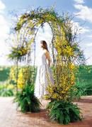 Arbor of Love