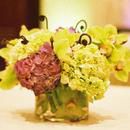Hydrangeas and orchids