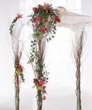 Unity Chuppah