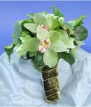 Lovely Orchids