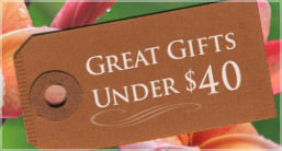 Great Gifts Under $40