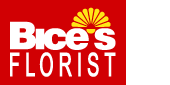 Bice's Florist