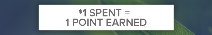 $1 spent = 1 loyalty reward point earned