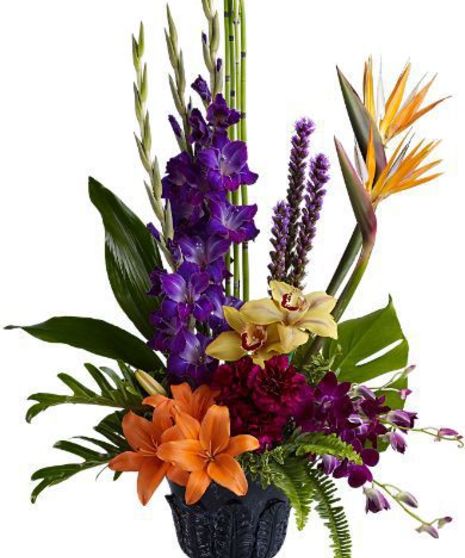 Paradise Blooms