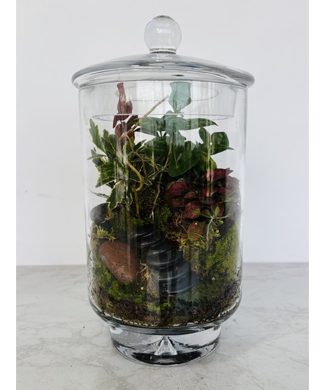 Terrarium Jar