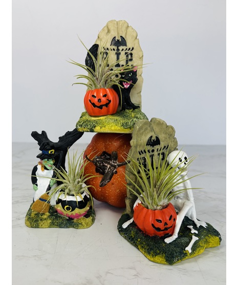 Trio of Terror