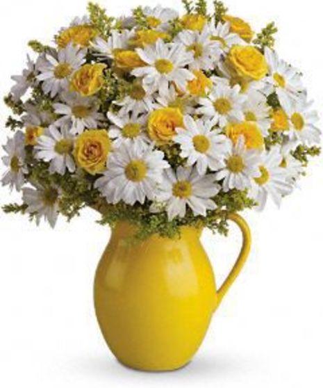 White daisies in a bright yellow pitcher vase.