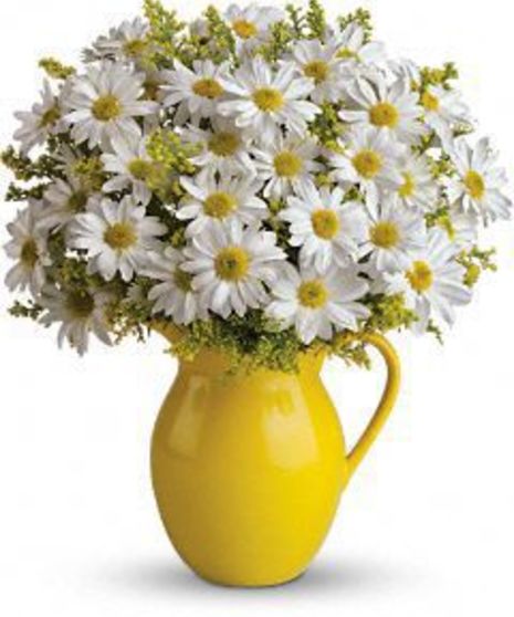 White daisies in a bright yellow pitcher vase.