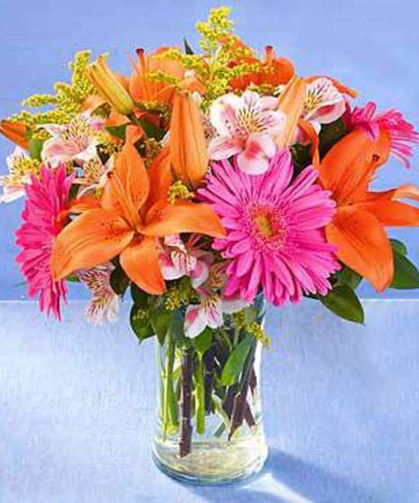 Blooming Brilliance