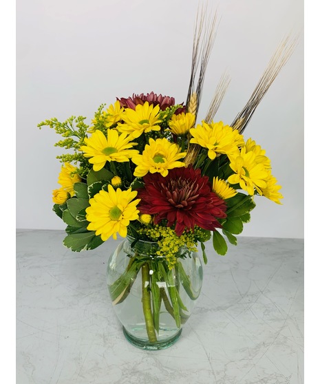 Fall Daisys