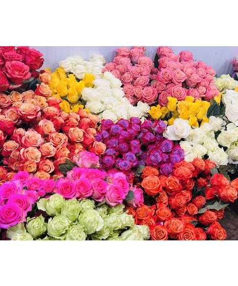 Flowers for a Year!