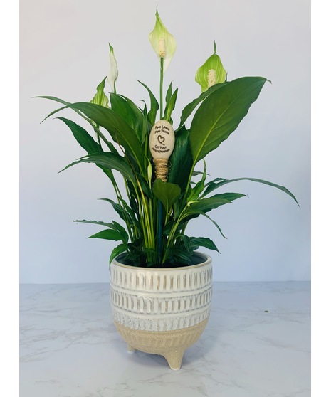 Footed Planter