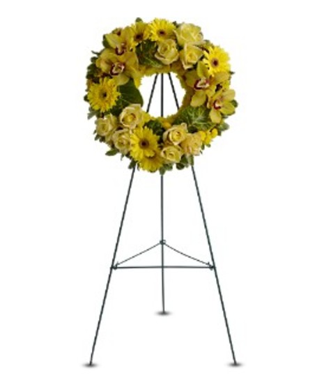 Circle of Sunshine