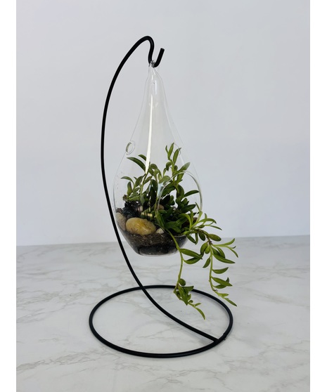 Hanging Teardrop Terrarium