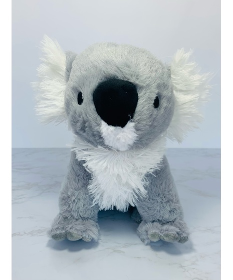 Cute Koala Bear