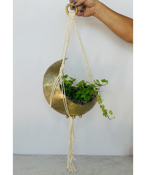 Over The Moon Planters