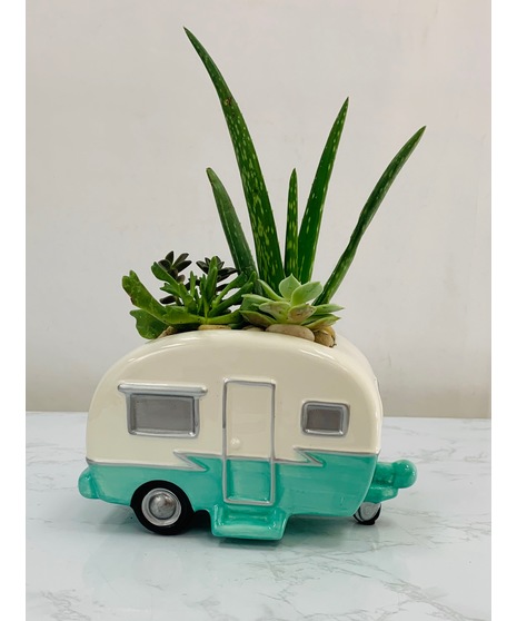Retro Road Tripper Succulent Garden