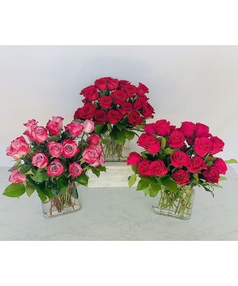 Compact cube vase filled with roses.