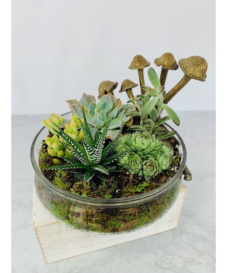 mushroom glass planter