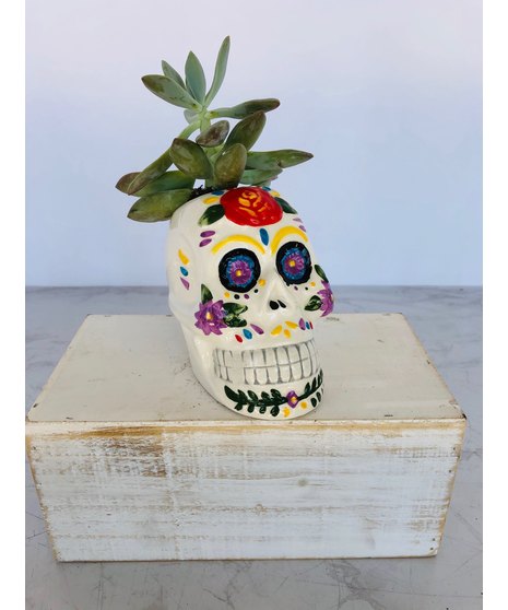Sugar Skull Succulent Planter