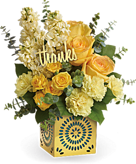 Shimmer Of Thanks