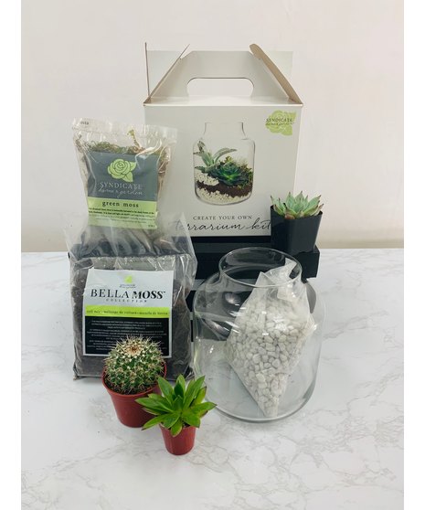 Terrarium Kit, Dallas - Fort Worth (TX) Plant Delivery