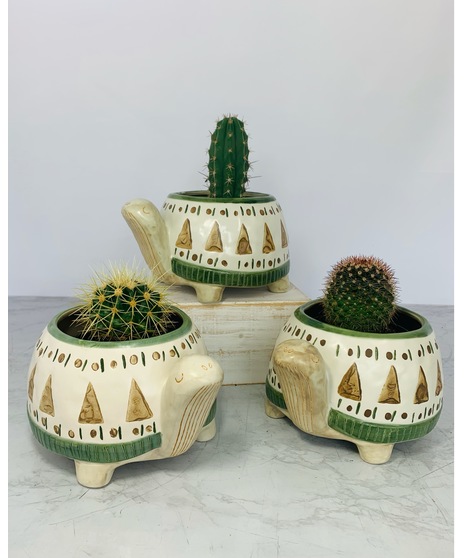 turtle planter with cactus