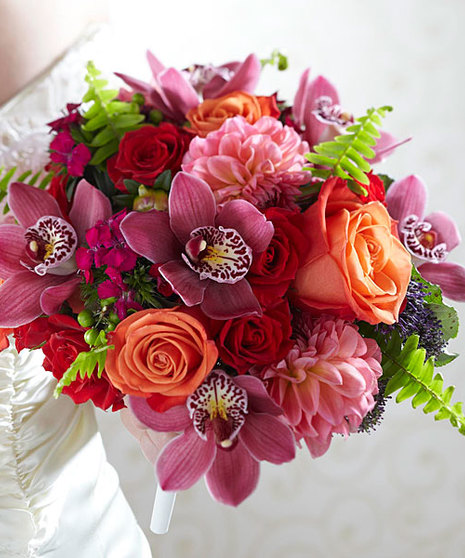Brightest Blossoms