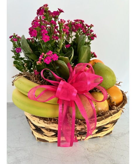 Fruits and Blooms