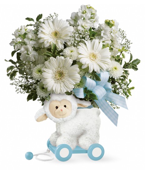 Sweet Little Lamb - Blue
