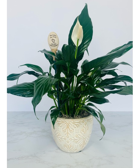 Ceramic Planter