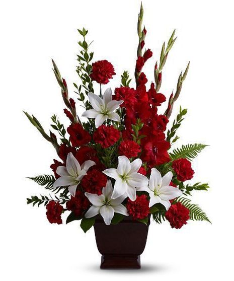 Tender Tribute