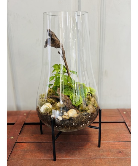 Standing Terrarium