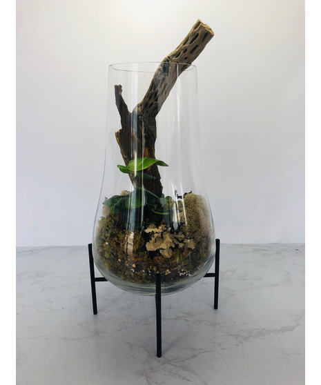Standing Terrarium