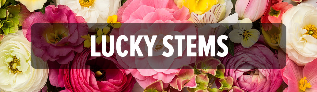 Lucky Stems